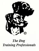 Protection training and family watch  dogs along with dog equipment,dog leashes,dog collars