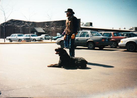 Dog behavior and training for every one