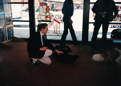 Dog Behavior and training seminars for schools and functions