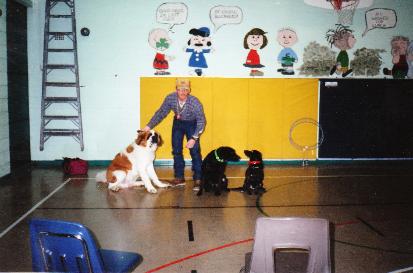 Dog Behavior and training seminars