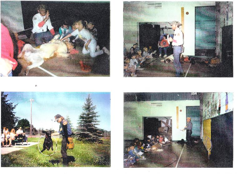 Dog behavior and training seminars for fairs and outings